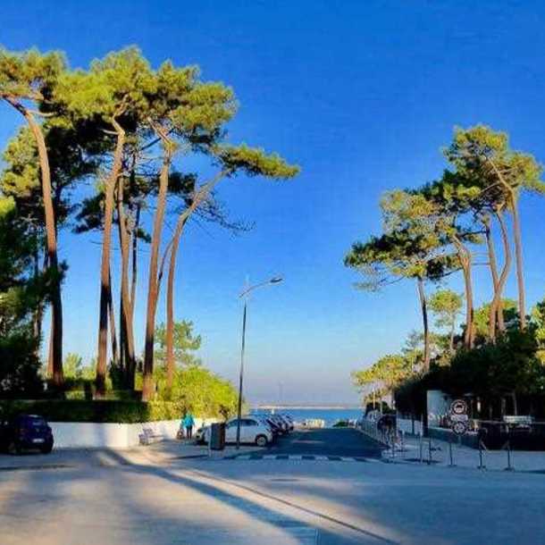 Visite à pied du quartier de Pyla sur Mer 